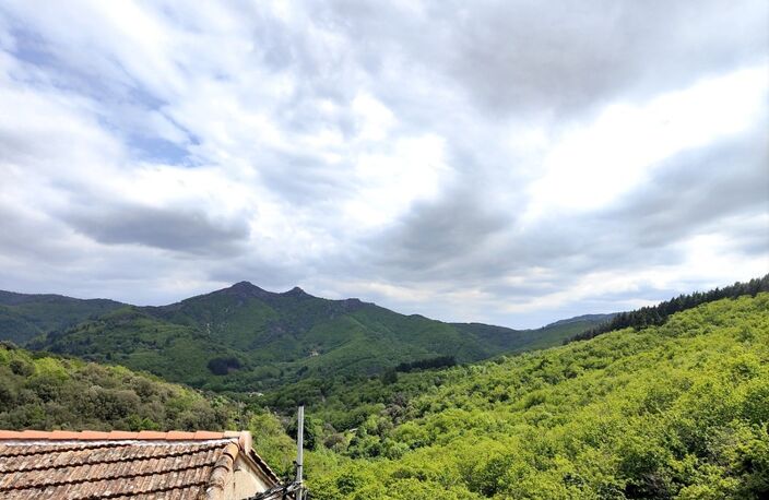 Mas avec terrasse et terrain — photo 4