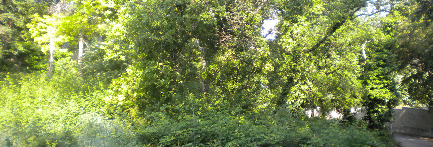 Terrain  1270 m² à vendre à Mondragon (84430)