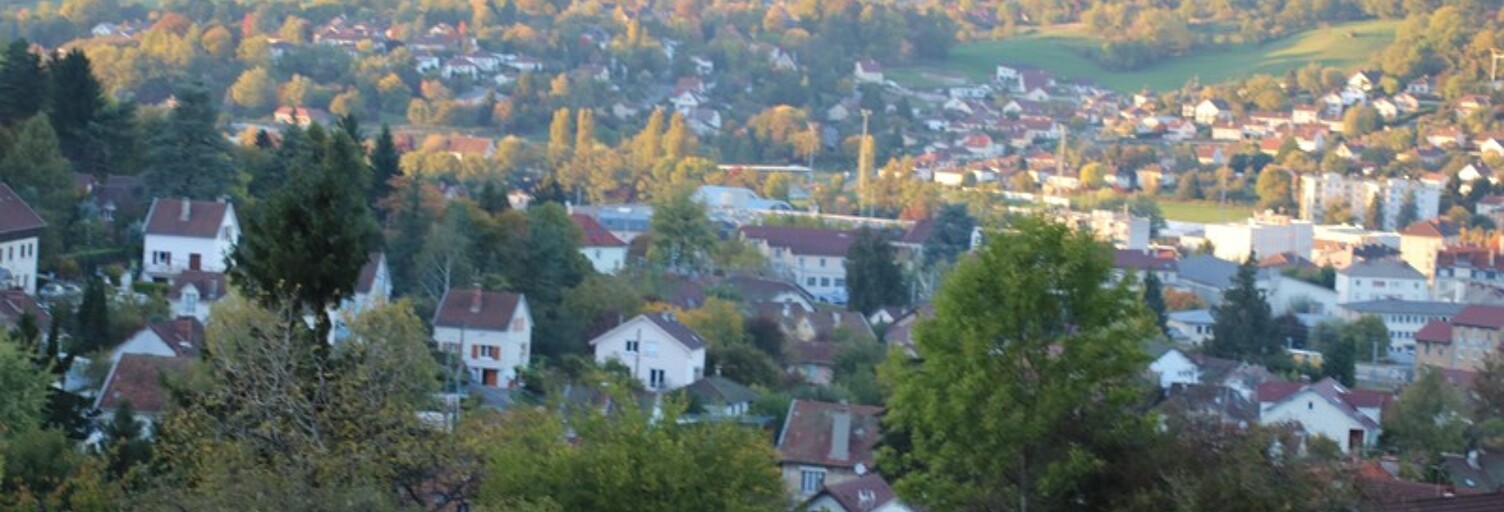 Terrain  9899 m² à vendre à Lons-le-Saunier (39000)