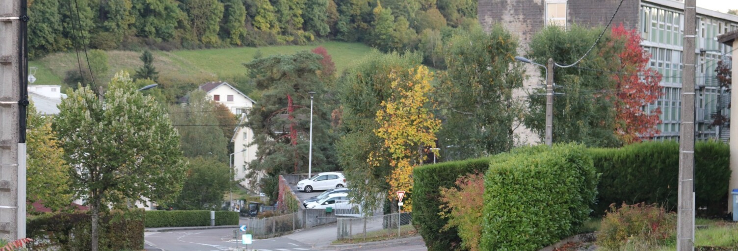 Photo N° 2