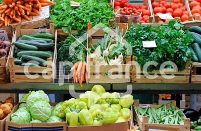 Dpt Ille et Vilaine (35), à vendre proche de RENNES Primeur - Epicerie — photo du bien