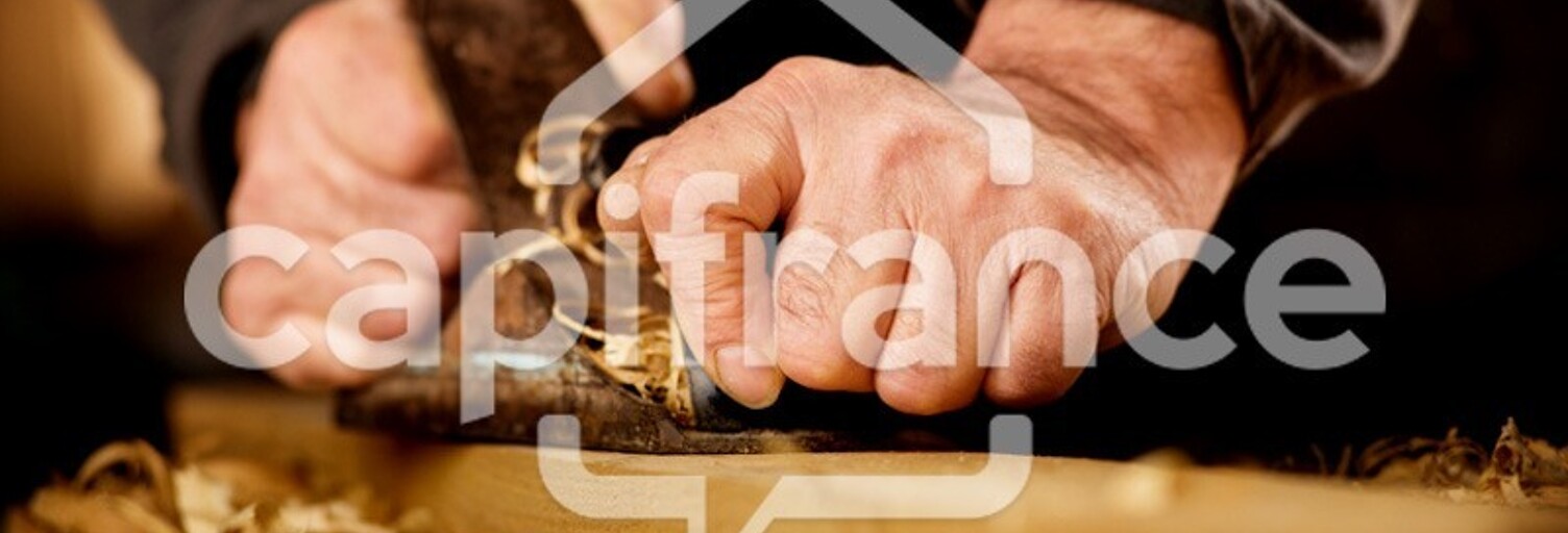 Local industriel 10 Pièces 740 m² à vendre à Saint-Louis (97421)