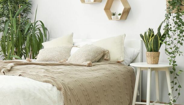 Villa / Maison 3 pièces  à vendre Lacanau 33680