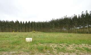 Terrain  899 m² à vendre à Bats (40320)