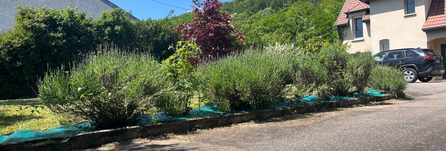 Maison 4 Pièces 131 m² à louer à Liverdun (54460)