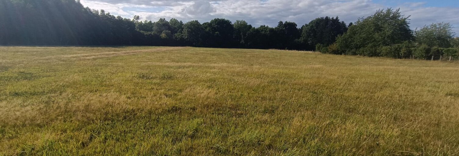 Terrain  9159 m² à vendre à Luxeuil-les-Bains (70300)