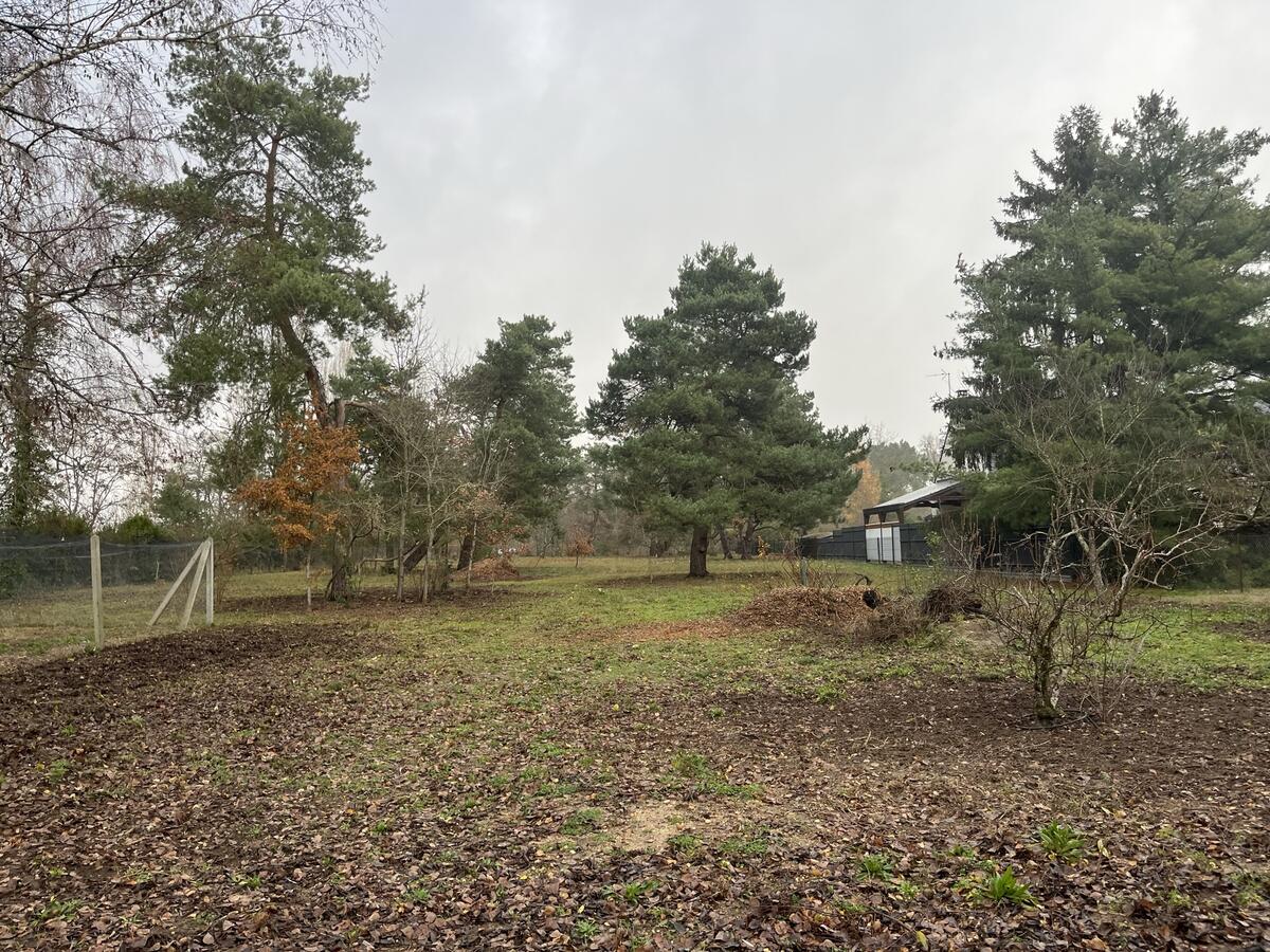 Terrain  à vendre Saint-Denis-de-l'Hôtel 45550