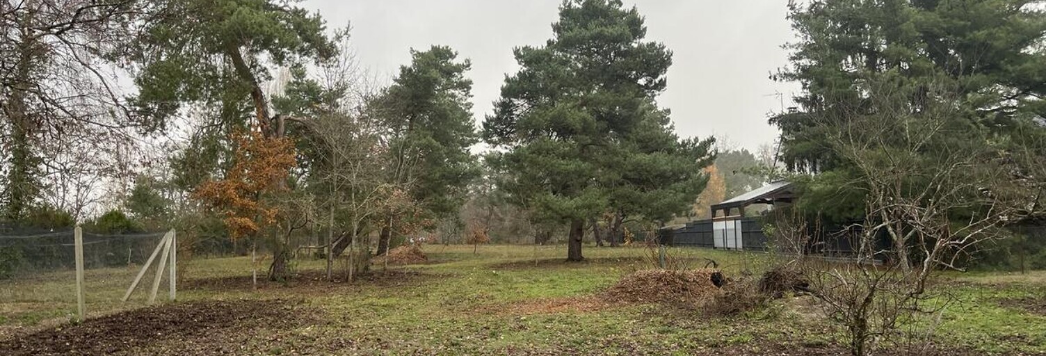 Terrain  3113 m² à vendre à Saint-Denis-de-l'Hôtel (45550)