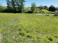 Terrain — photo 2