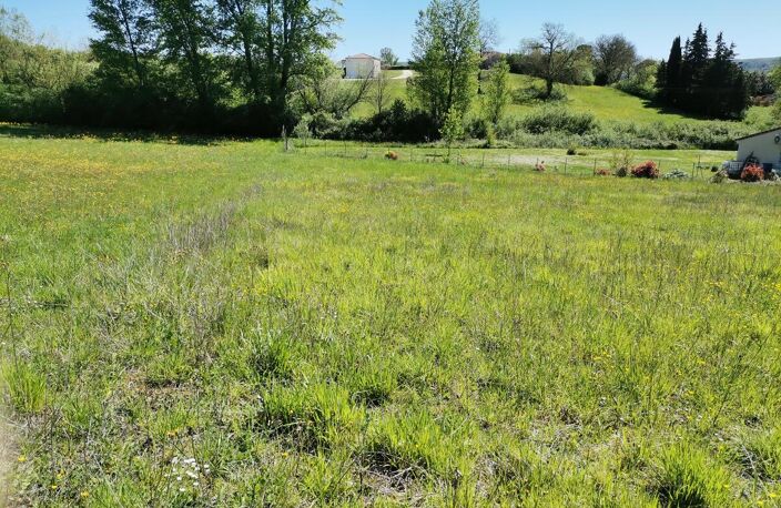 Terrain — photo 2