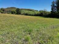 Terrain — photo 3