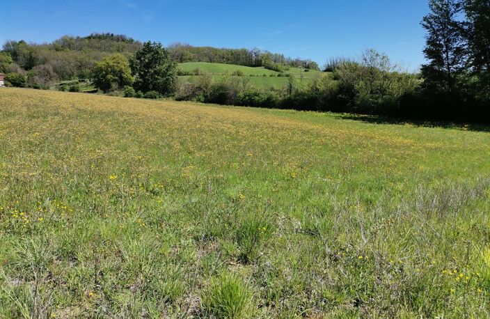 Terrain — photo 3
