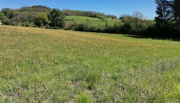 Terrain  à vendre Dausse 47140