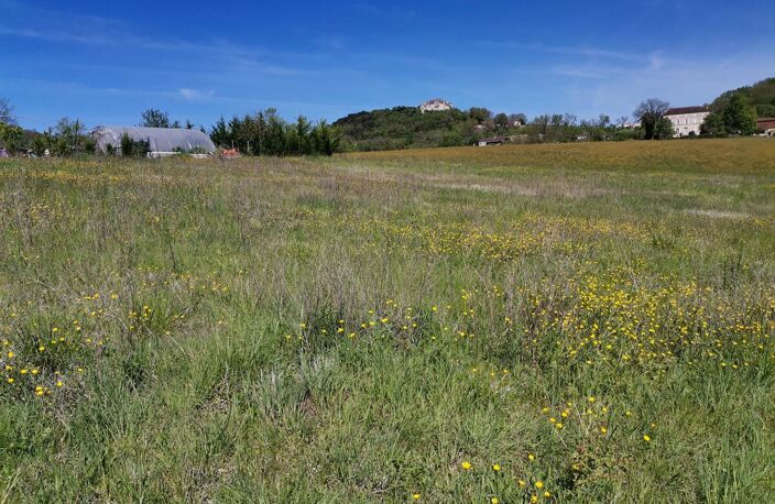 Terrain — photo 5