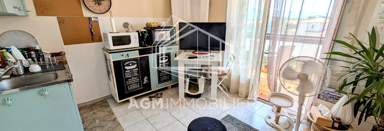 Appartement 1 Pièce 23 m² à vendre à Saint-Cyprien (66750)