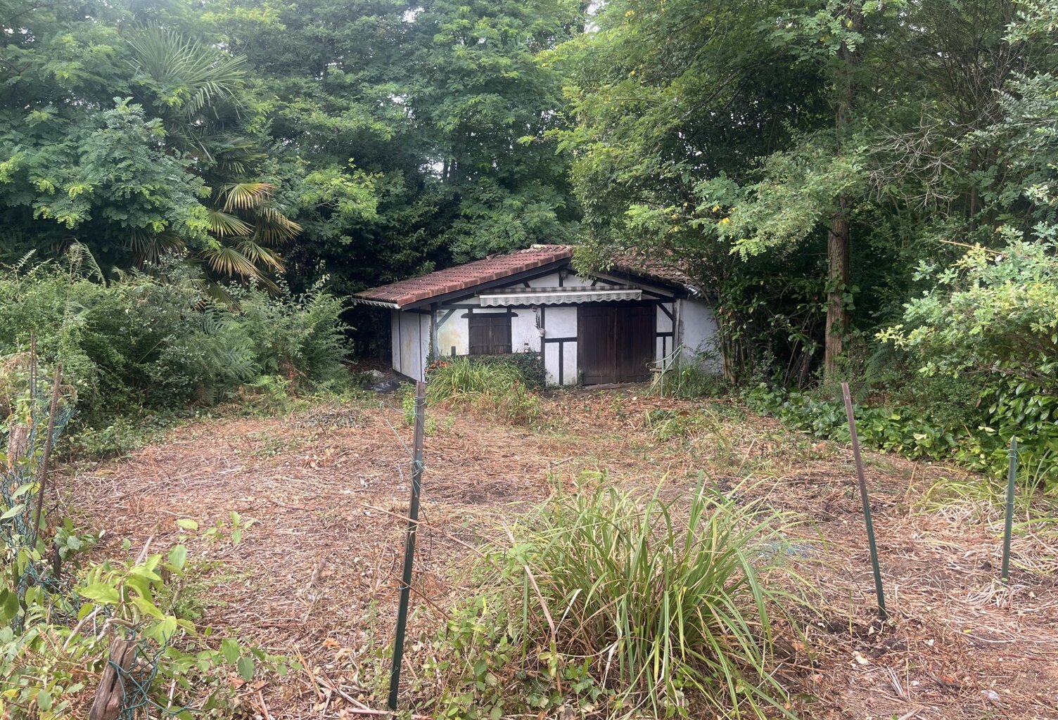 Maison à vendre Saugnac-et-Cambran — photo 1
