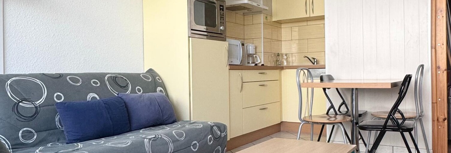 Appartement 1 Pièce 24 m² à vendre à Arette (64570)