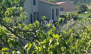 Maison 6 Pièces 116 m² à vendre à Carnoules (83660)