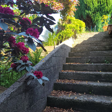 Maison 7 pièces 354500 €