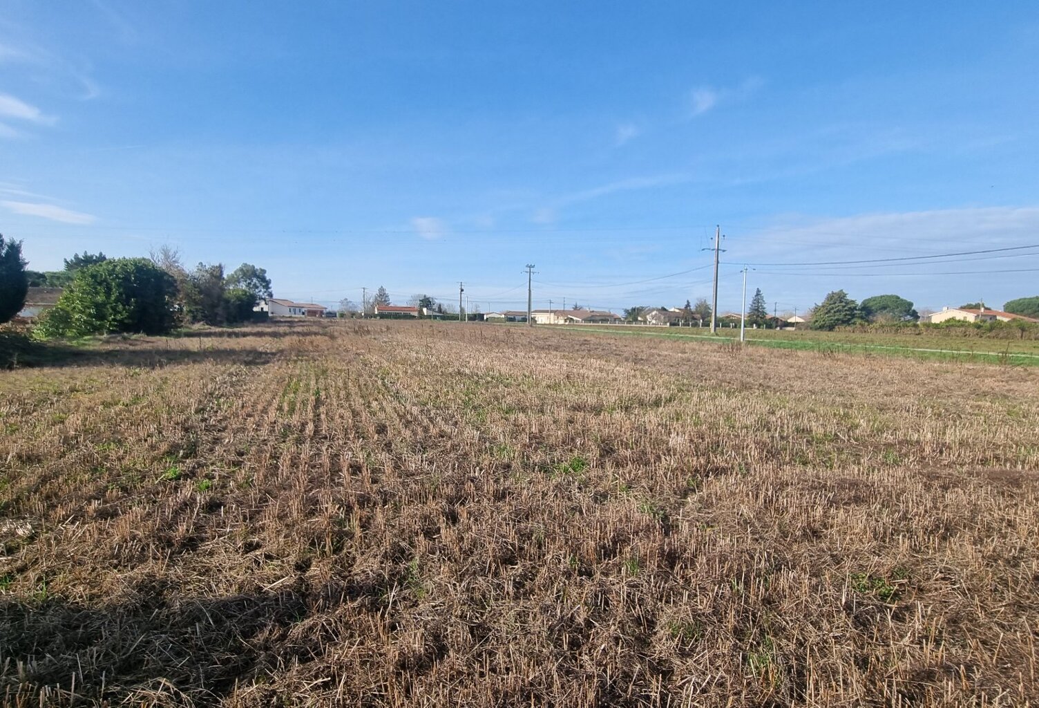 Rare grand terrain proche du centre — photo 1