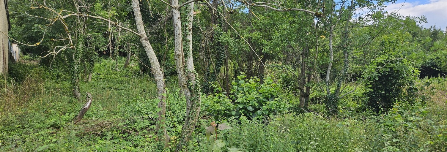 Terrain  3052 m² à vendre à Algrange (57440)