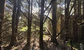 Terrain  2041 m² à vendre à Lunery (18400)