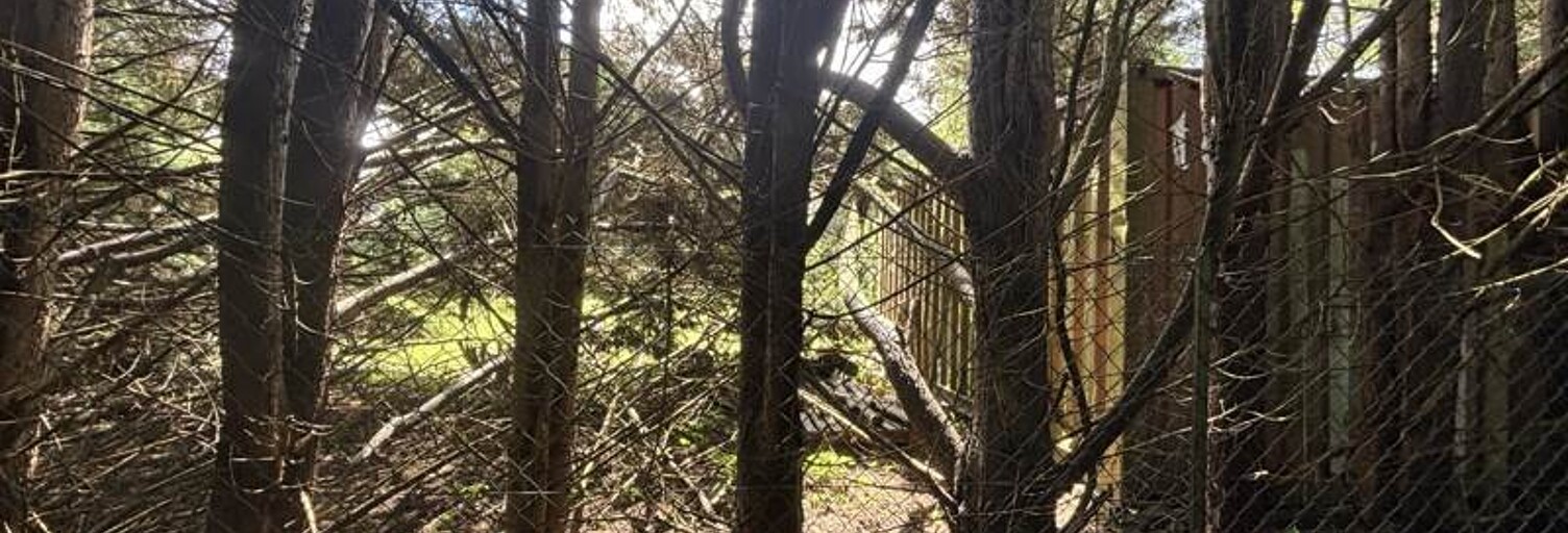 Terrain  2041 m² à vendre à Lunery (18400)