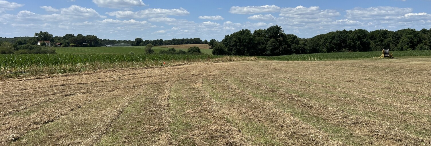 Terrain  1649 m² à vendre à Saint-Martin-d'Armagnac (32110)