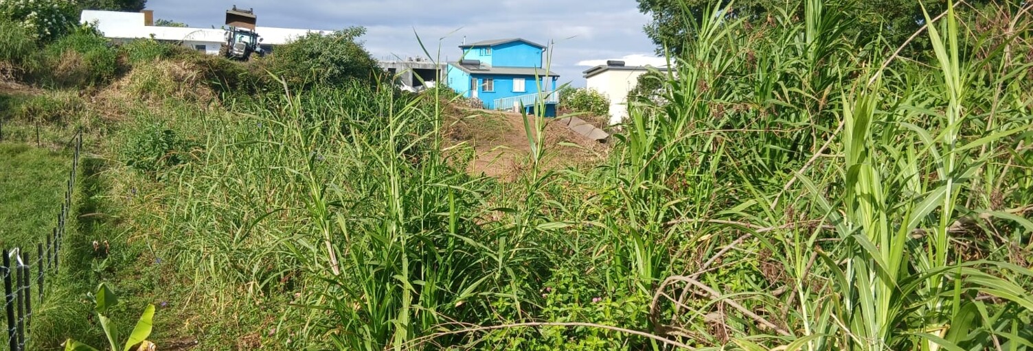 Terrain  597 m² à vendre à Les Trois-Bassins (97426)