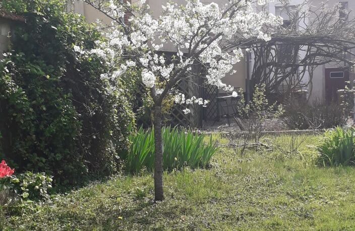 Vente Maison de ville 6 pièces — photo 2