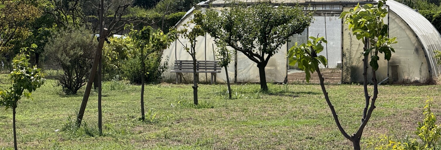 Terrain  2874 m² à vendre à Elne (66200)