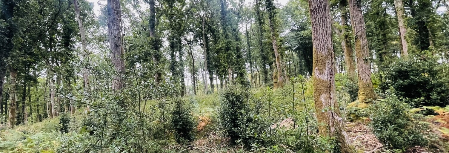 Terrain  288850 m² à vendre à Vigneux-de-Bretagne (44360)