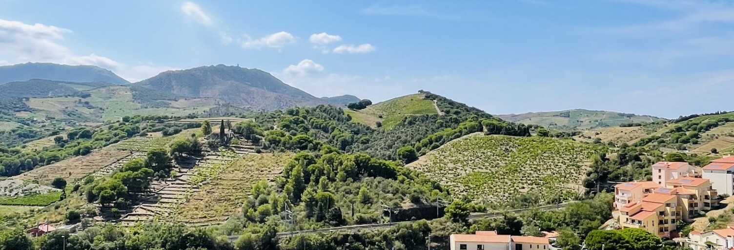 Appartement 2 Pièces 36 m² à vendre à Banyuls-sur-Mer (66650)