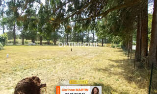 Terrain  1400 m² à vendre à Allaire (56350)