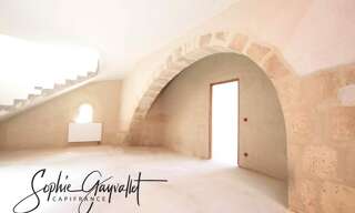 Maison 550 m² en viager Saint-Martin-de-Crau (13310)