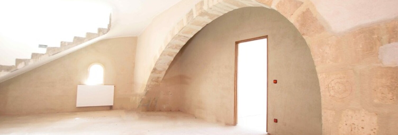 Maison 550 m² en viager Saint-Martin-de-Crau (13310)