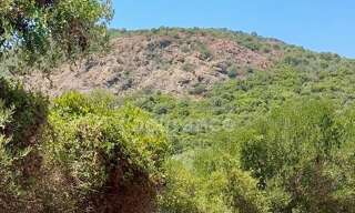 Terrain  3380 m² à vendre à Galéria (20245)