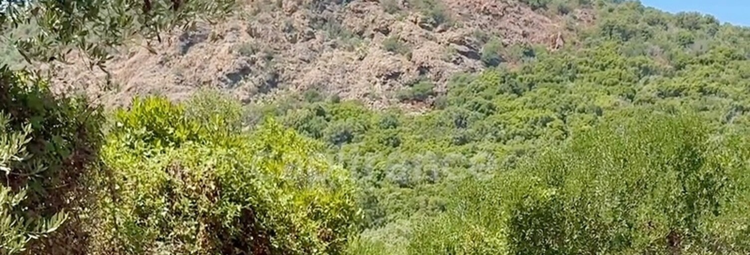 Terrain  3380 m² à vendre à Galéria (20245)