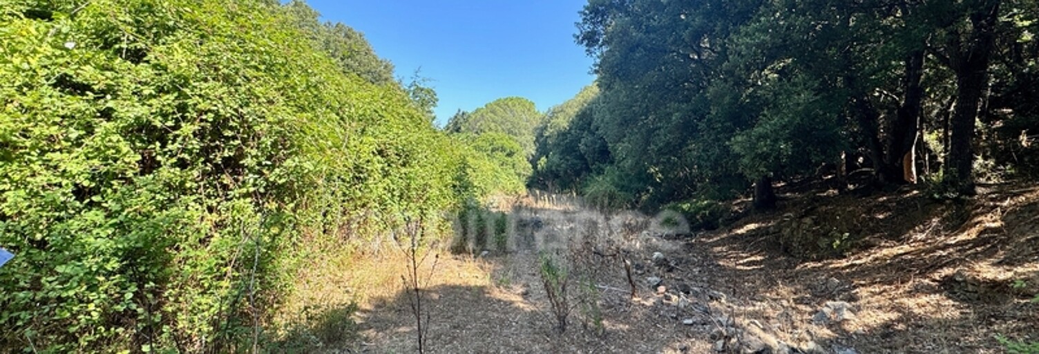 Terrain  3380 m² à vendre à Galéria (20245)