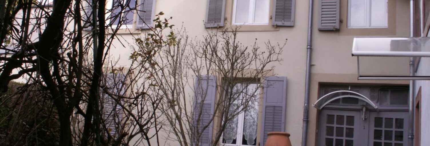 Appartement 3 Pièces 73 m² à louer à Sarrebourg (57400)