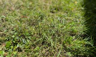 Terrain  451 m² à vendre à Nogent-sur-Vernisson (45290)