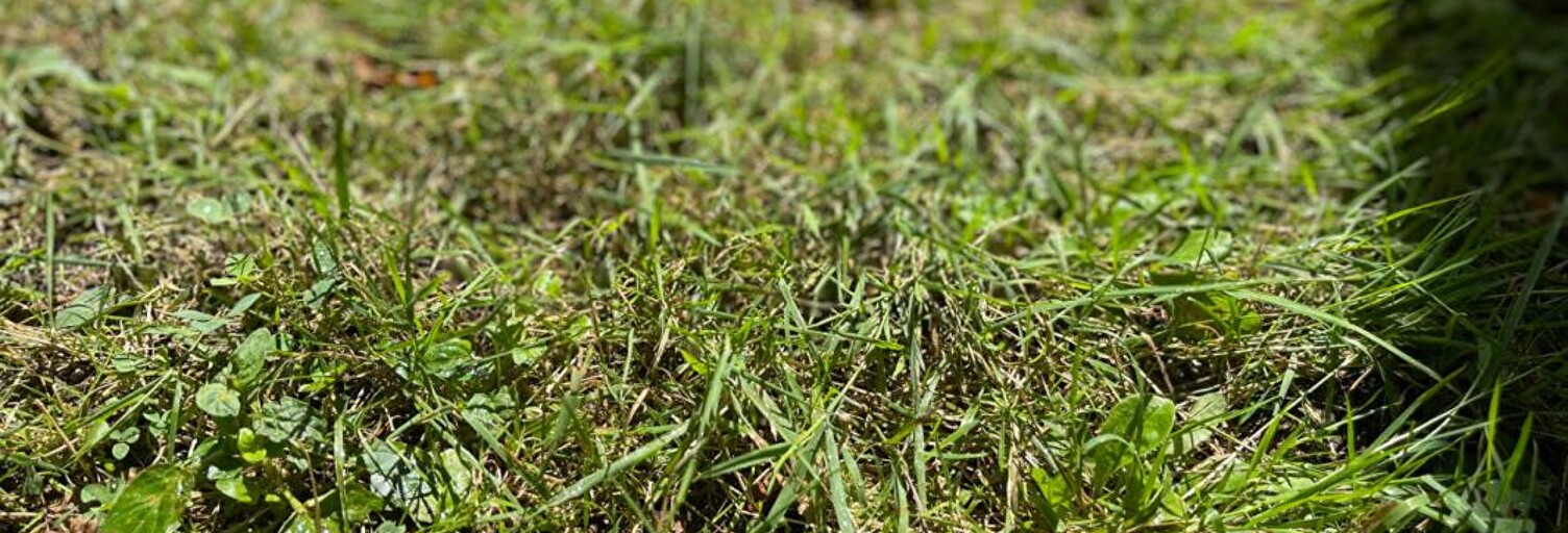 Terrain  451 m² à vendre à Nogent-sur-Vernisson (45290)