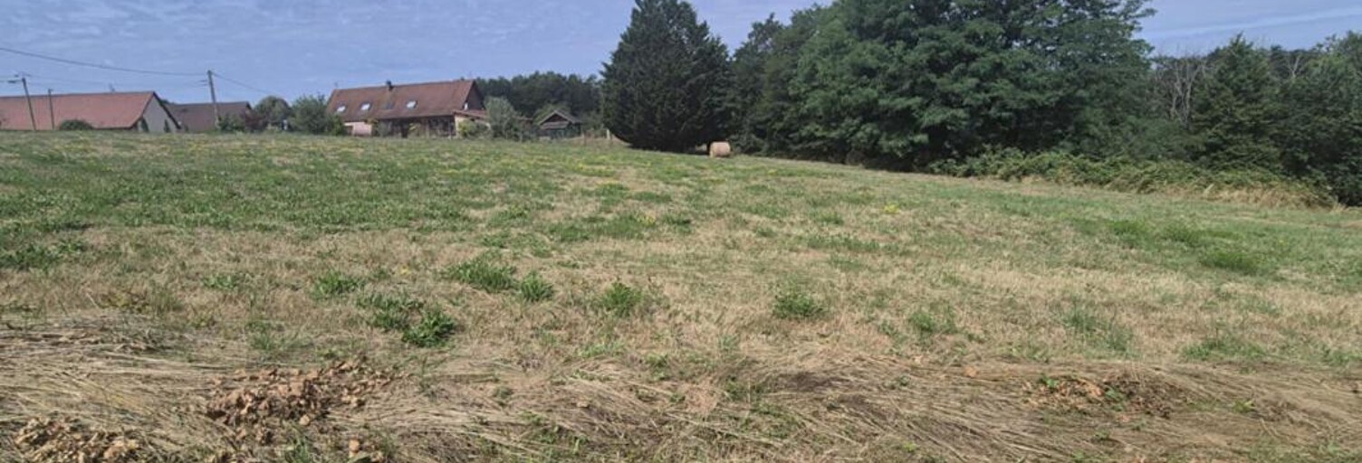 Terrain  3163 m² à vendre à Saint-Usuge (71500)