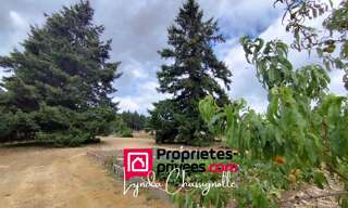 Terrain  1100 m² à vendre à Saint-André-d'Apchon (42370)