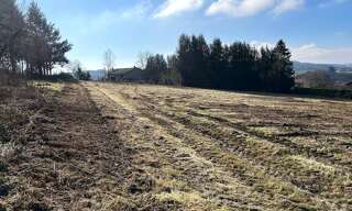 Terrain  760 m² à vendre à Violay (42780)