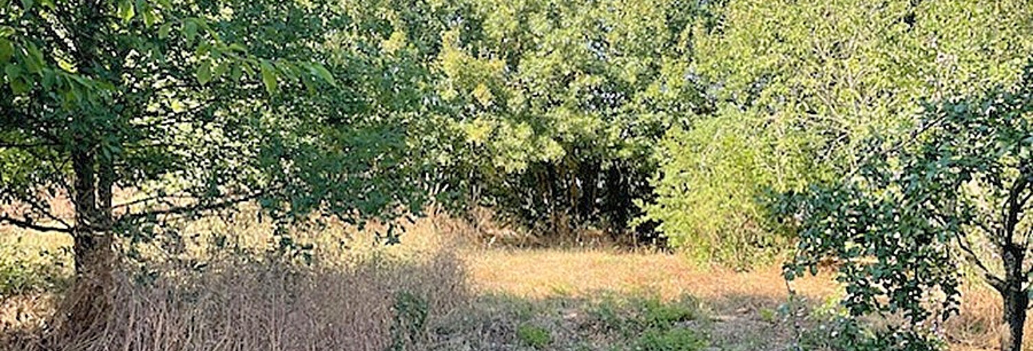 Terrain  615 m² à vendre à Ferrières (17170)