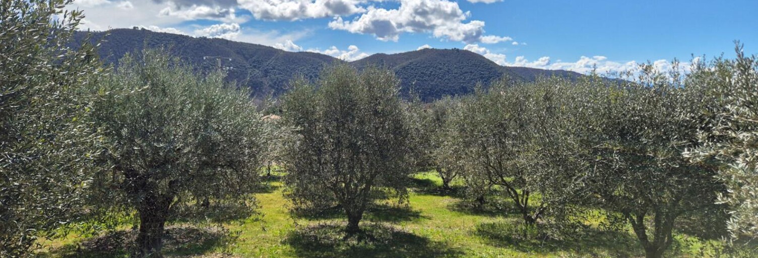 Terrain  892 m² à vendre à Oraison (04700)