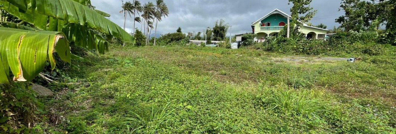 Terrain   m² à vendre à Saint-Benoît (97470)