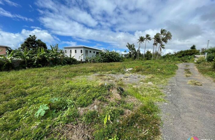 TEKA IMMO VOUS PROPOSE A VENDRE DES PARCELLES DE 300M²  SUR ST BENOIT, A MOINS DE 5 MINUTES DU GHER, ILE DE LA REUNION — photo 2