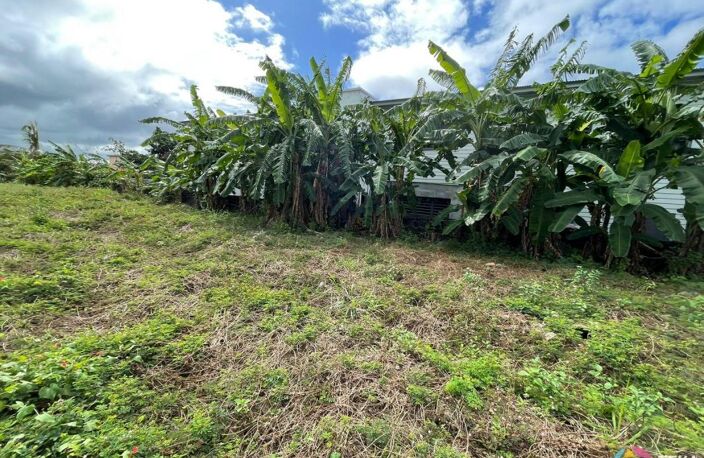 TEKA IMMO VOUS PROPOSE A VENDRE DES PARCELLES DE 300M²  SUR ST BENOIT, A MOINS DE 5 MINUTES DU GHER, ILE DE LA REUNION — photo 3